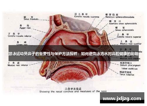 游泳运动员鼻子的重要性与保护方法探析：如何避免泳池水对鼻腔健康的影响